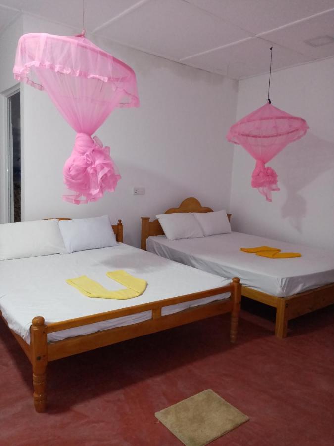 Homestay U New